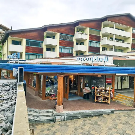 Nika - Aare Jungfrau Ag Apartment Grindelwald