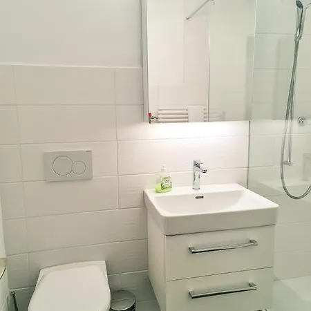 Nika - Aare Jungfrau Ag Apartment *