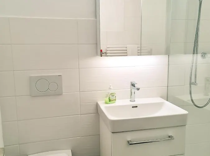 Nika - Aare Jungfrau Ag Apartment *