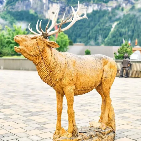 Apartmán Nika - Aare Jungfrau Ag Grindelwald